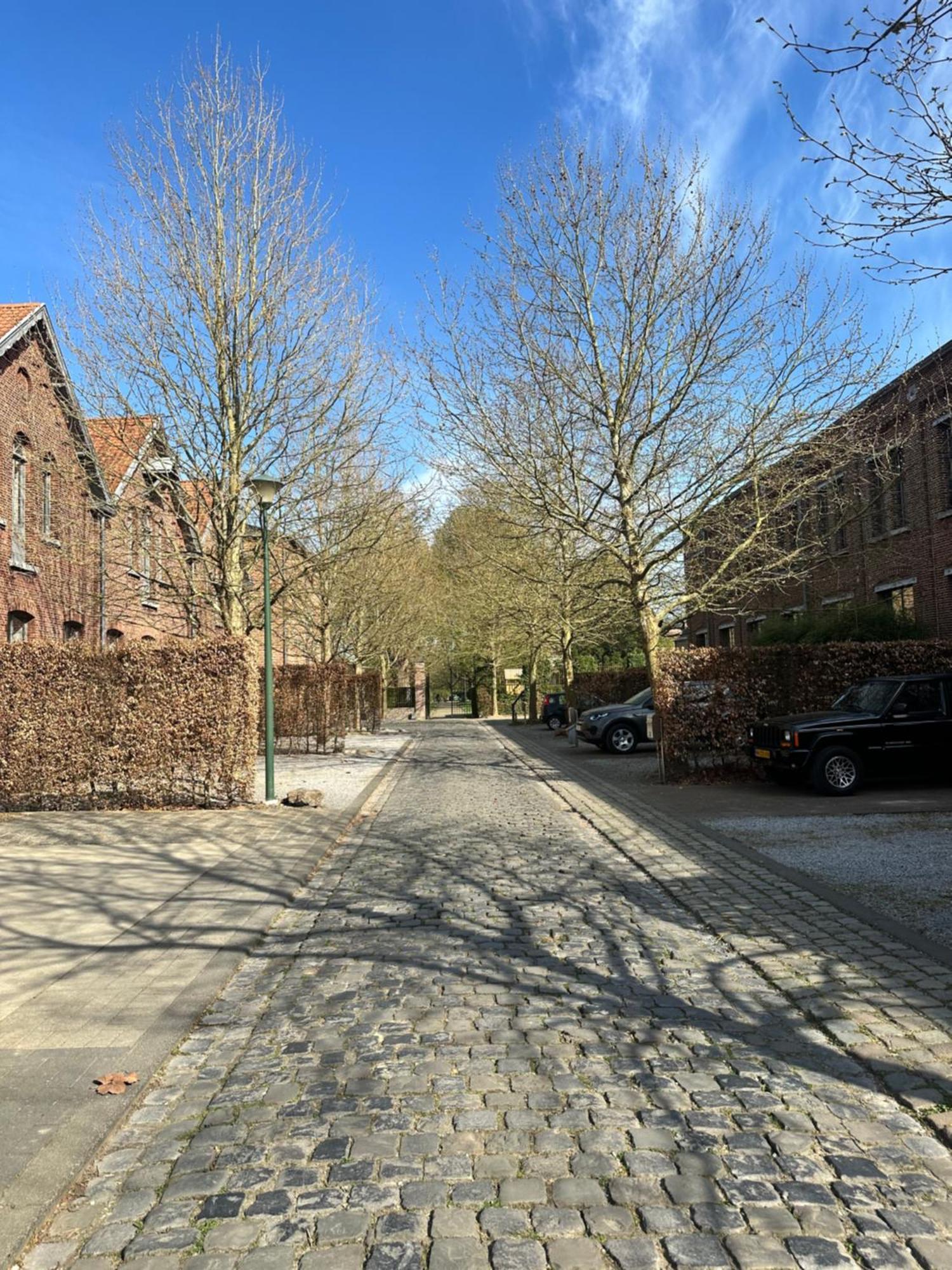 Vakantiewoning Waag Rekem Exterior foto
